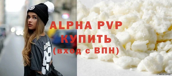 хмурый Абаза