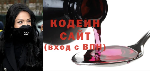 хмурый Абаза