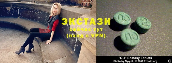 хмурый Абаза