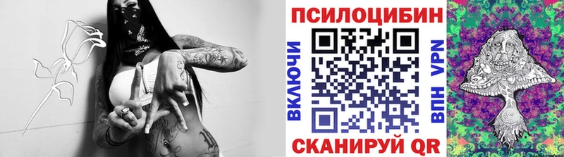 купить наркотик гидра зеркало маркетплейс клад Сольцы Псилоцибиновые грибы Psilocybe
